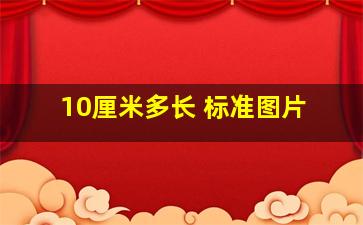 10厘米多长 标准图片